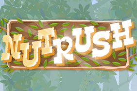 Play Nut Rush!
