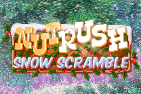 Play Nut Rush Snow Scramble!