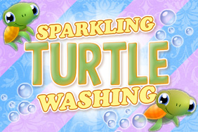 Play Sparkling Turtle Washing!